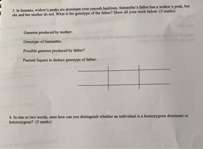 Solved Please Answer All The Questions And Show The Works Chegg