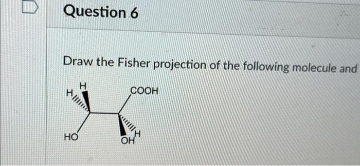 Solved Question 6 Draw The Fisher Projection Of The Chegg