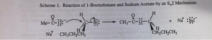 Solved Scheme 1 Reaction Of 1 Bromobutane And Sodium Chegg