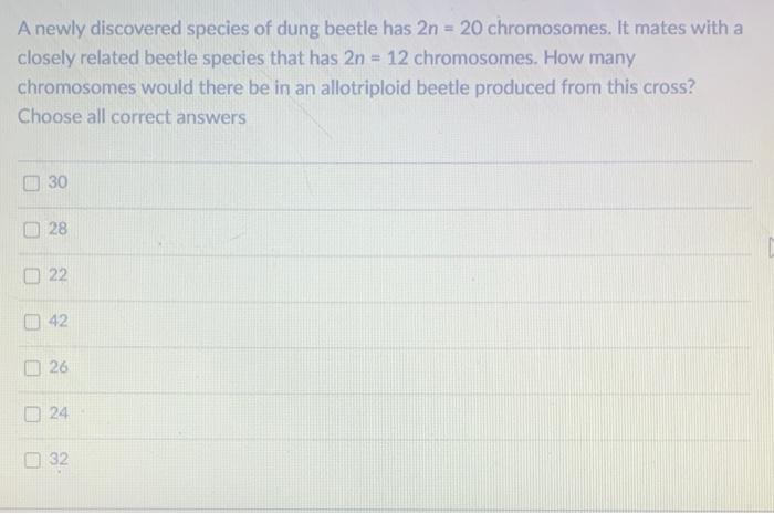 Solved A Newly Discovered Species Of Dung Beetle Has 2n 20 Chegg