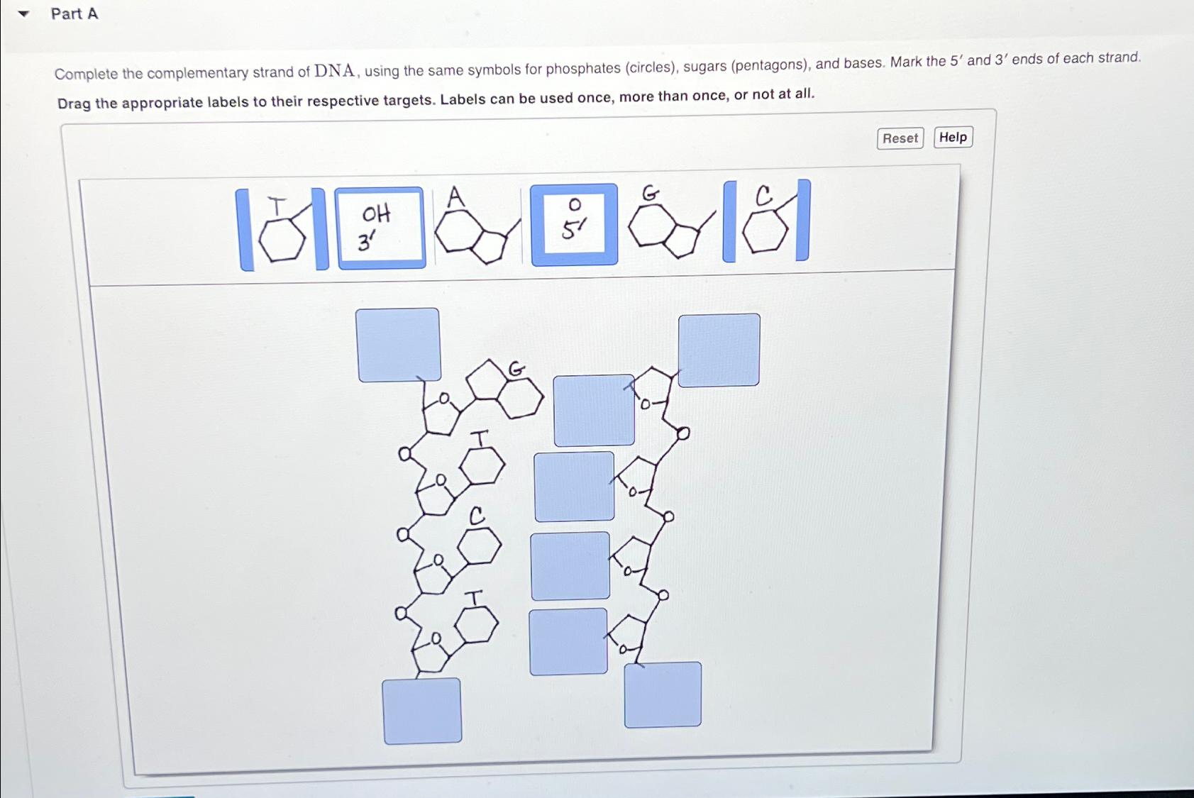 Solved Part AComplete The Complementary Strand Of DNA Using Chegg