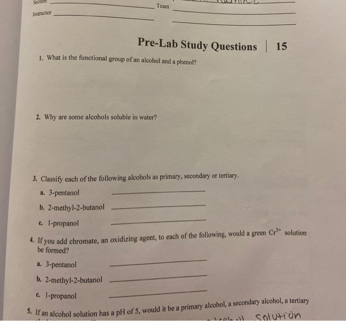 Solved Section Team Instructor Pre Lab Study Questions Chegg