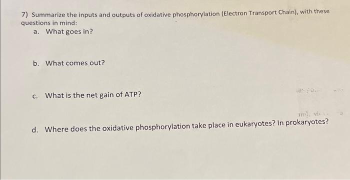 Solved 7 Summarize The Inputs And Outputs Of Oxidative Chegg