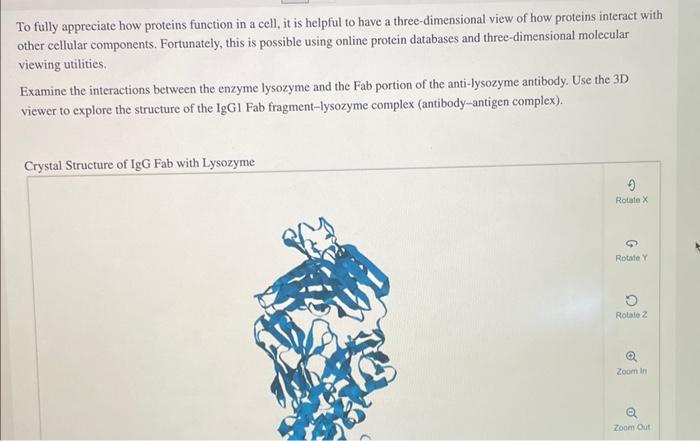 Solved To Fully Appreciate How Proteins Function In A Cell Chegg