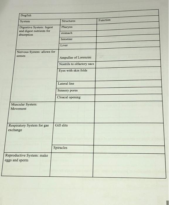 Solved Begin Tabular L L L Hline Begin Tabular L Chegg