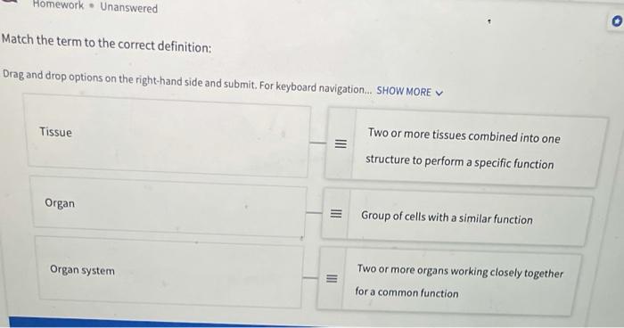 Solved Homework Unanswered O Match The Term To The Correct Chegg