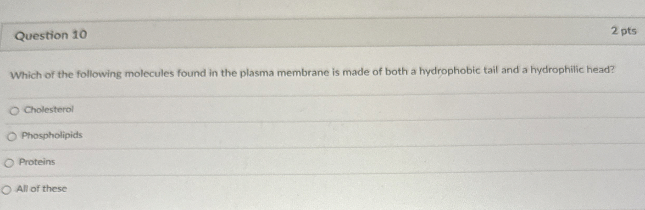 Solved Question 102 PtsWhich Of The Following Molecules Chegg