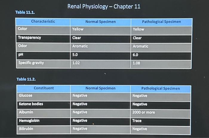 Solved Summarize The Abriormal Urinalysis Findings From The Chegg