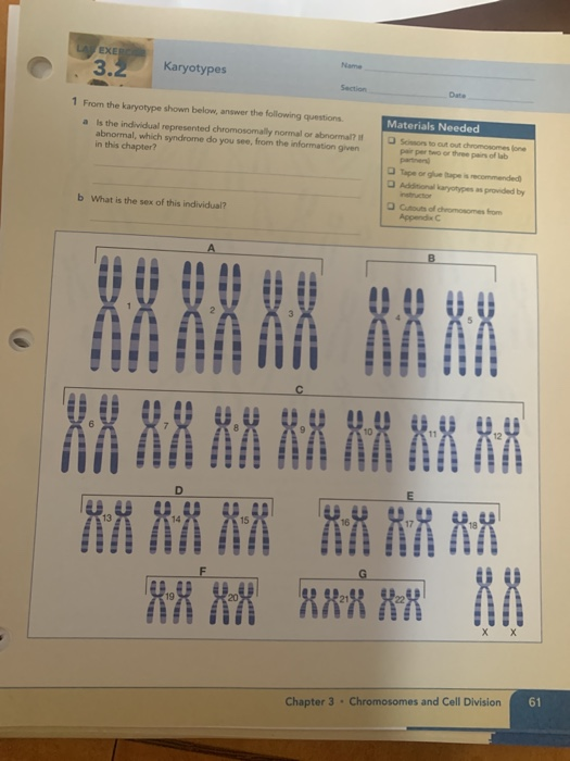 Solved EXE 3 2 Karyotypes Data 1 From The Karyotype Shown Chegg