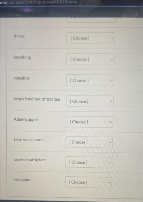 Solved Match The Description With The Corresponding Chegg