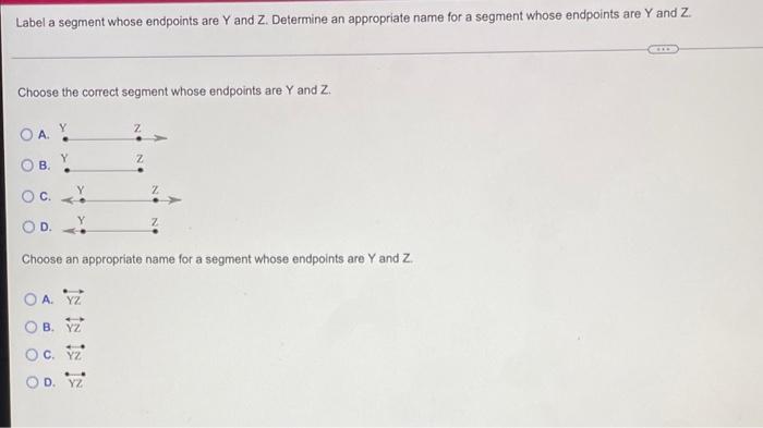 Solved Label A Segment Whose Endpoints Are Y And Z Chegg