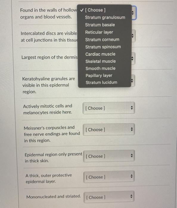 Solved Question 33 2 Pts A Patient Has Suffered Third Degree Chegg