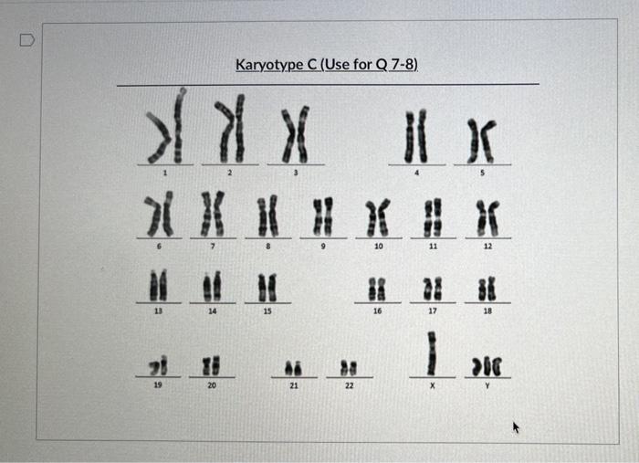 Solved Karyotype C Use for Q7 8 кRK к 10 11 12 I ET 14 Chegg