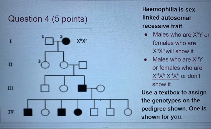 Solved Question 4 5 Points Xhxh DI Haemophilia Is Sex Chegg