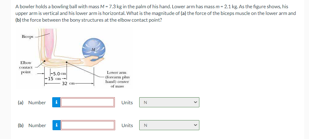 Solved A Bowler Holds A Bowling Ball With Mass M Kg In Chegg