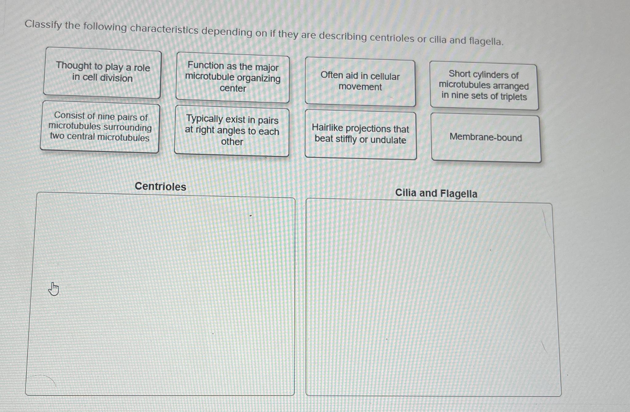 Solved Classify The Following Characteristics Depending On Chegg