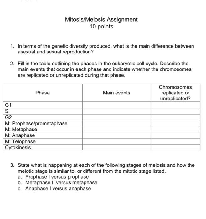 Solved Mitosis Meiosis Assignment Points In Terms Of Chegg