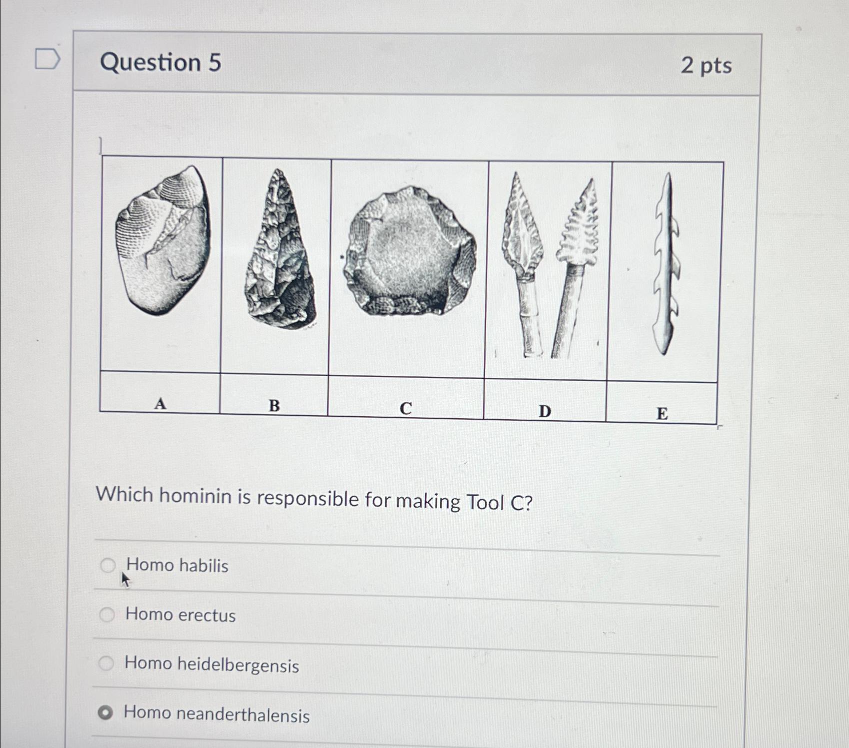 Solved Question 52 PtsWhich Hominin Is Responsible For Chegg