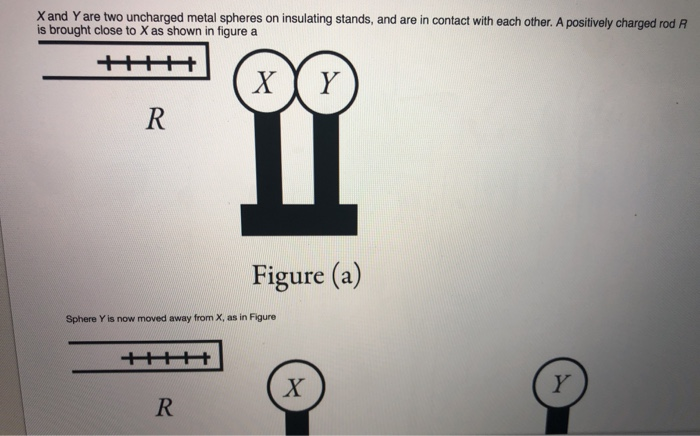 Solved X And Y Are Two Uncharged Metal Spheres On Insulating Chegg