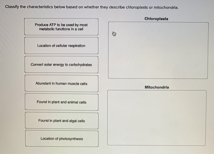 Solved Classify The Characteristics Below Based On Whether Chegg