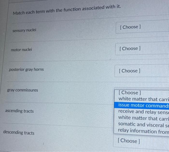 Solved Match Each Term With The Function Associated With It Chegg