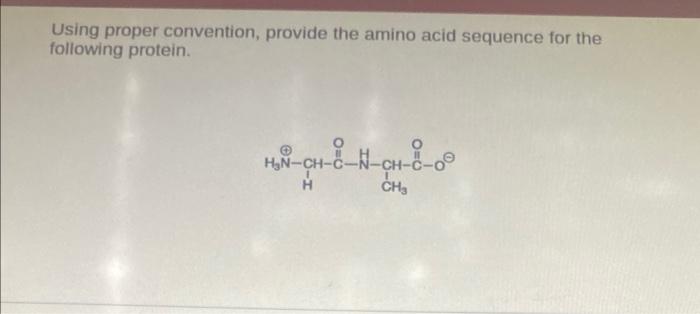 Solved Using Proper Convention Provide The Amino Acid Chegg