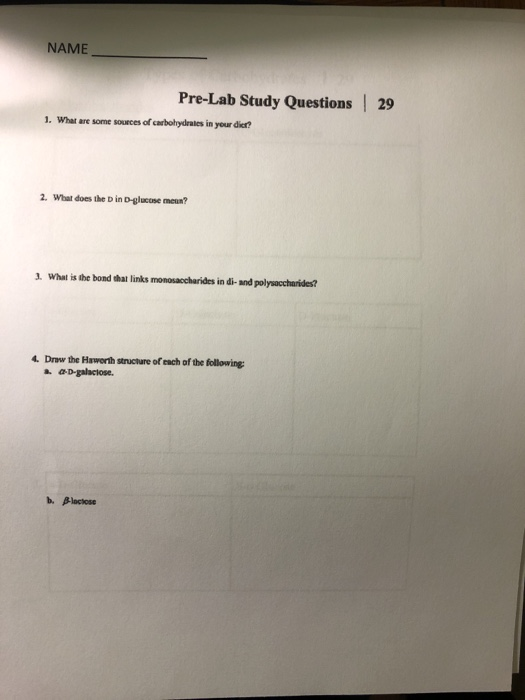 Solved Name Pre Lab Study Questions What Are Some Chegg