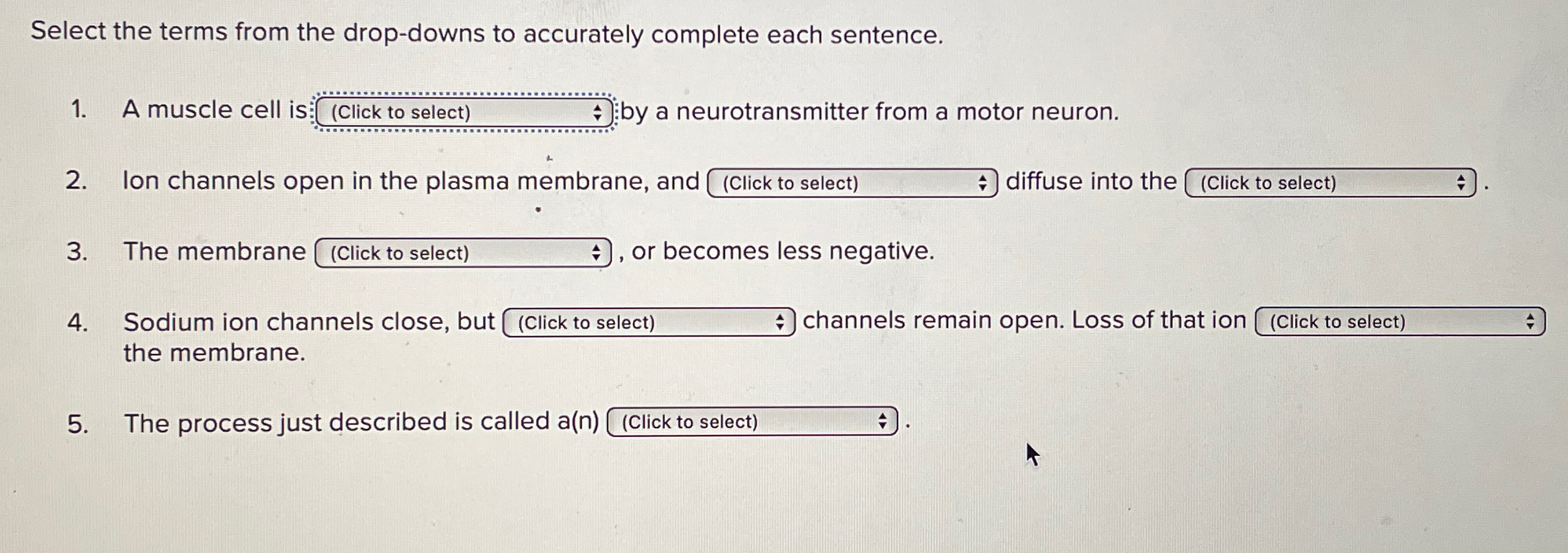 Solved Select The Terms From The Drop Downs To Accurately Chegg