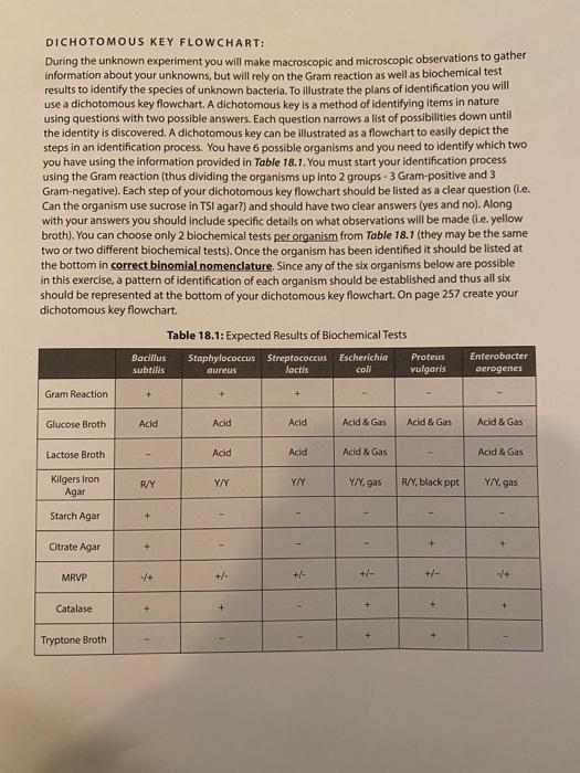Solved Make A Dichotomous Key Flowchart With These Results Chegg