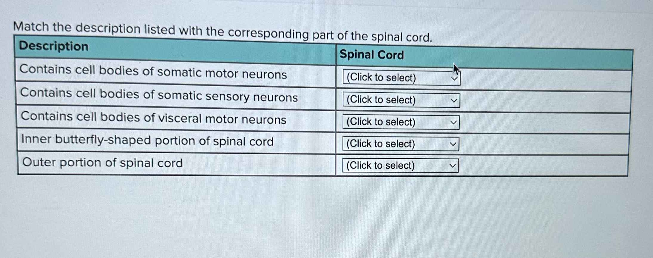 Solved Match The Description Listed With The Corresponding Chegg