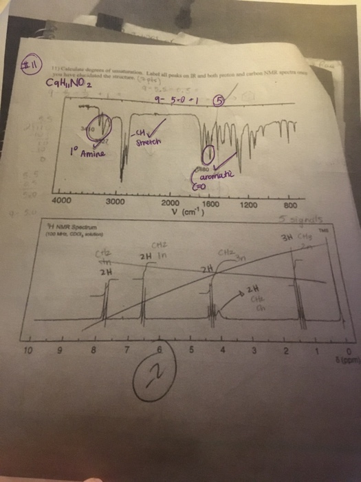 Solved 10 Calculate Degrees Of Unsaturation Label All Chegg