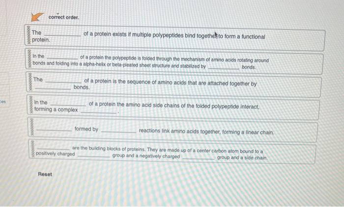 Solved A Protein Is A Complex Macromolecule With A Chegg