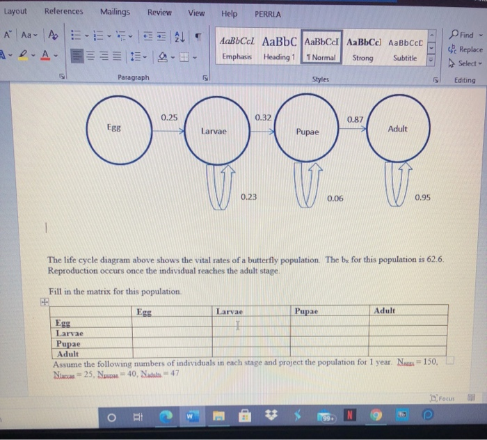 Solved Layout References Mailings Review View Help PERRLA E Chegg