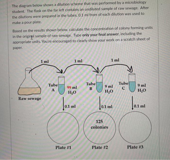 Solved The Diagram Below Shows A Dilution Scheme That Was Chegg