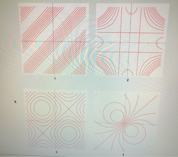 Solved Through Below Point Match The Graph Of Each Chegg