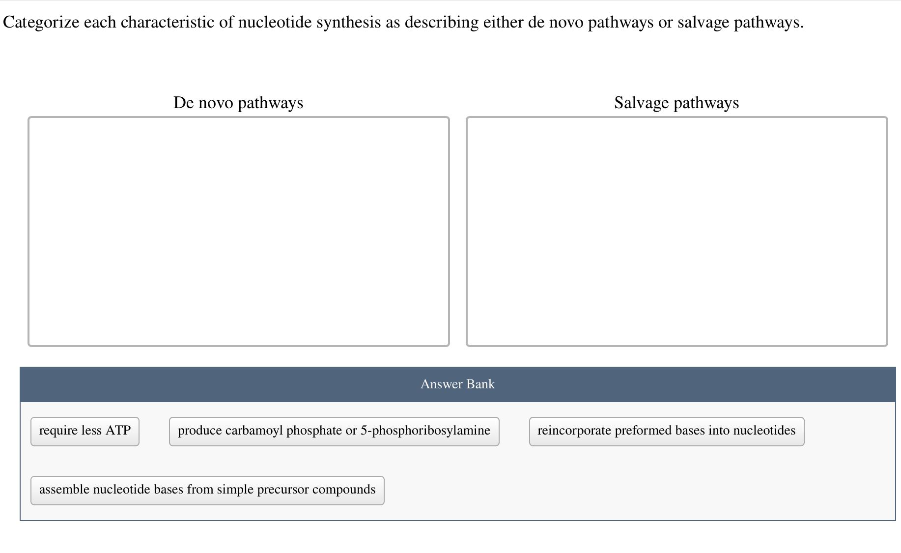 Solved Categorize Each Characteristic Of Nucleotide Chegg