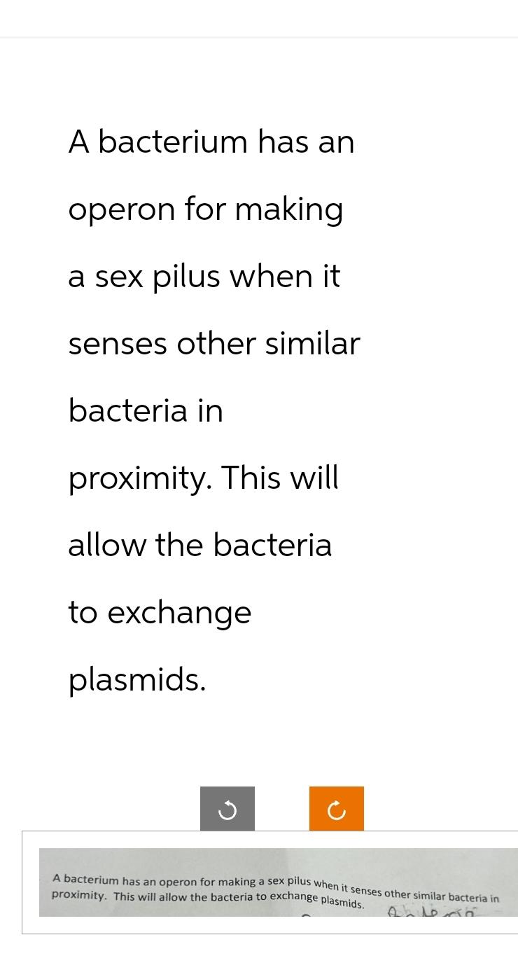 Solved A Bacterium Has Anoperon For Makinga Sex Pilus When Chegg