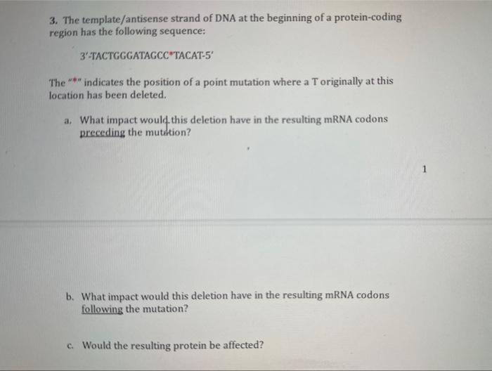 Solved The Template Antisense Strand Of Dna At The Chegg