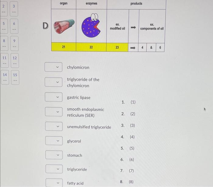 Solved The Following Tables Illustrate The Sequence Of Lipid Chegg