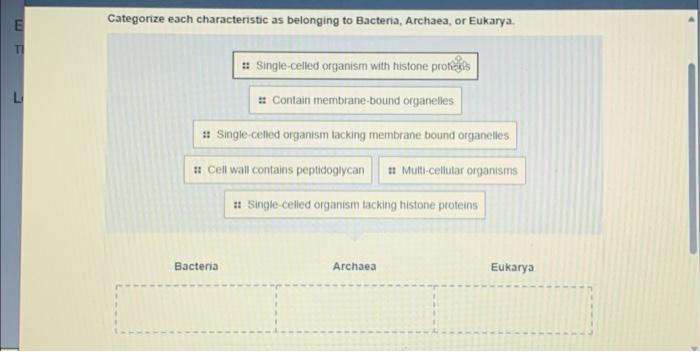 Solved Categorize Each Characteristic As Belonging To Chegg