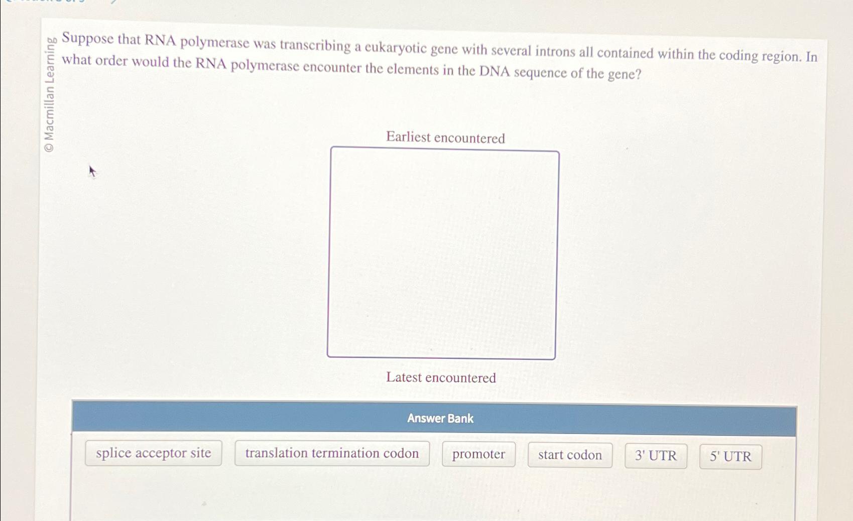 Solved Suppose That Rna Polymerase Was Transcribing A Chegg