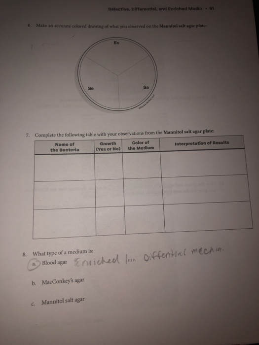 Solved Selective Differential And Enriched Media Chegg