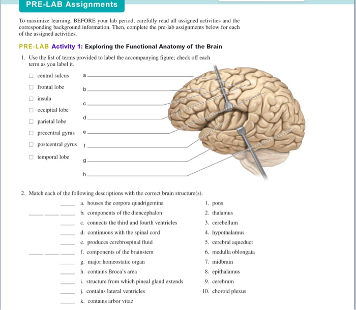 Solved Pre Lab Assignments To Maximize Learning Before Your Chegg