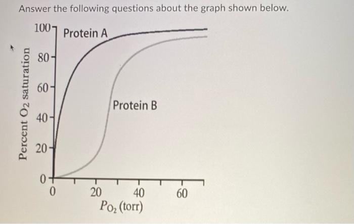 Solved Answer The Following Questions About The Graph Sh