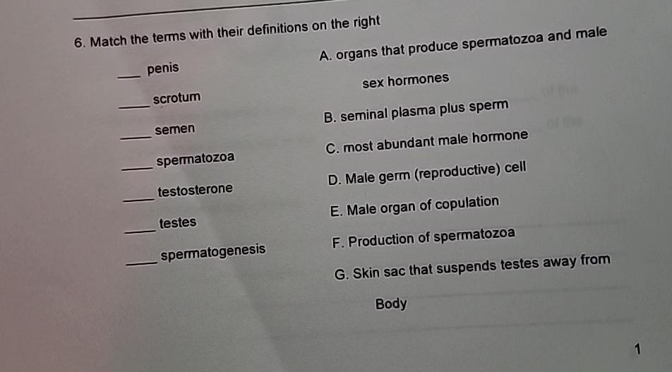 Solved Match The Terms With Their Definitions On The Chegg