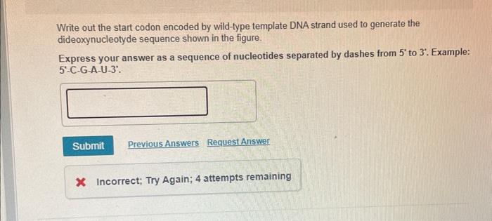 Solved The Two Gels Illustrated Below Contain Chegg