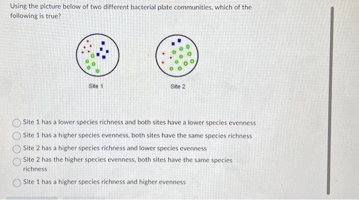 Solved Using The Picture Below Of Two Different Bacterial Chegg