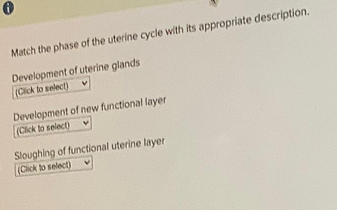 Solved Match The Phase Of The Uterine Cycle With Its Chegg