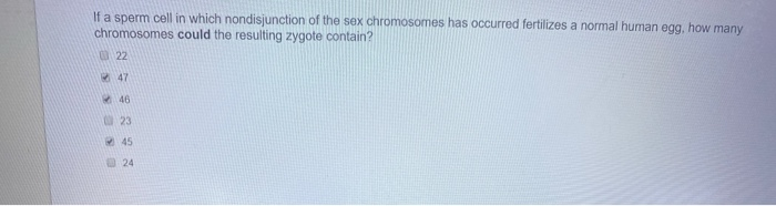 Solved If A Sperm Cell In Which Nondisjunction Of The Sex Chegg