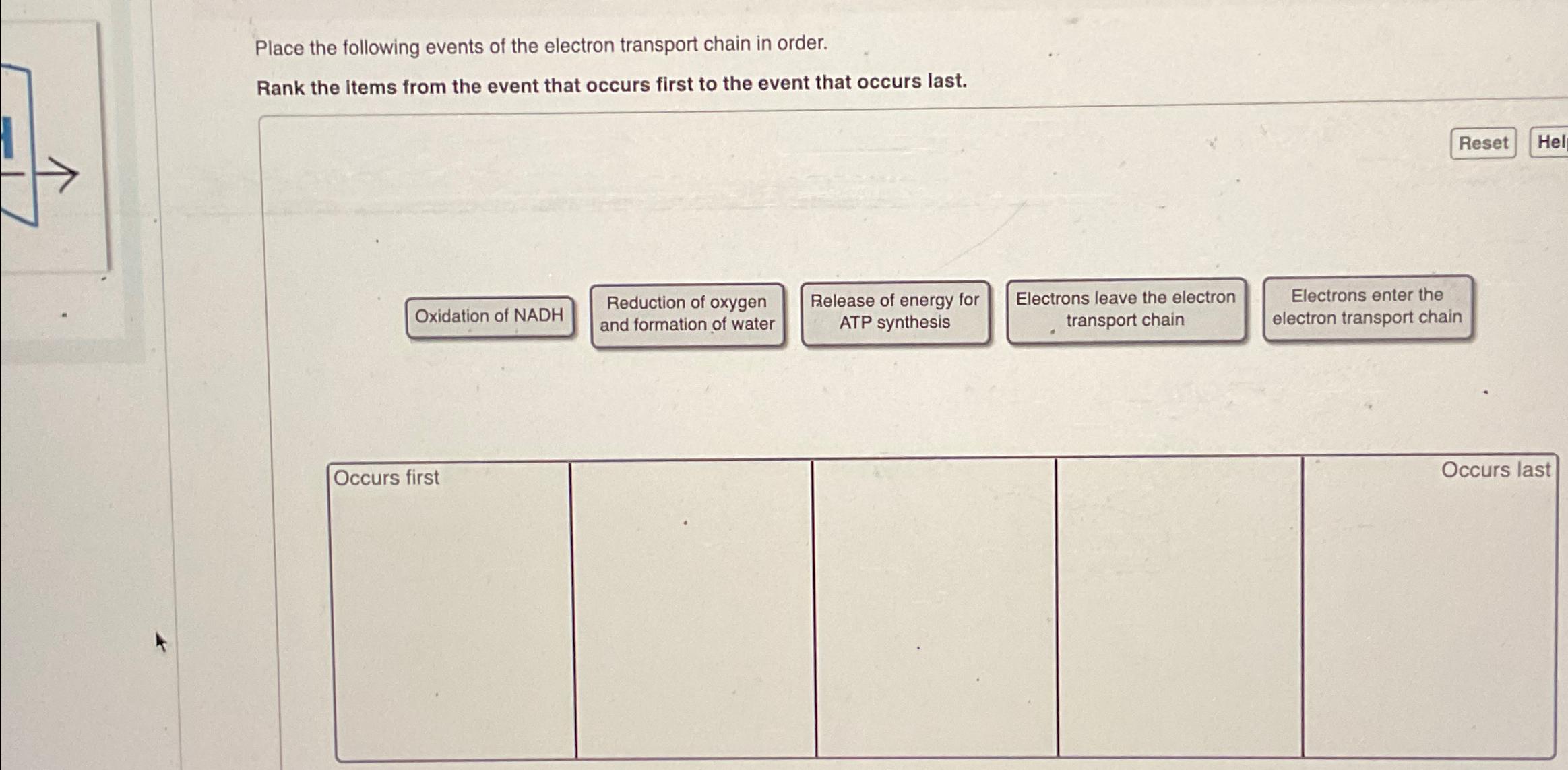 Solved Place The Following Events Of The Electron Transport Chegg